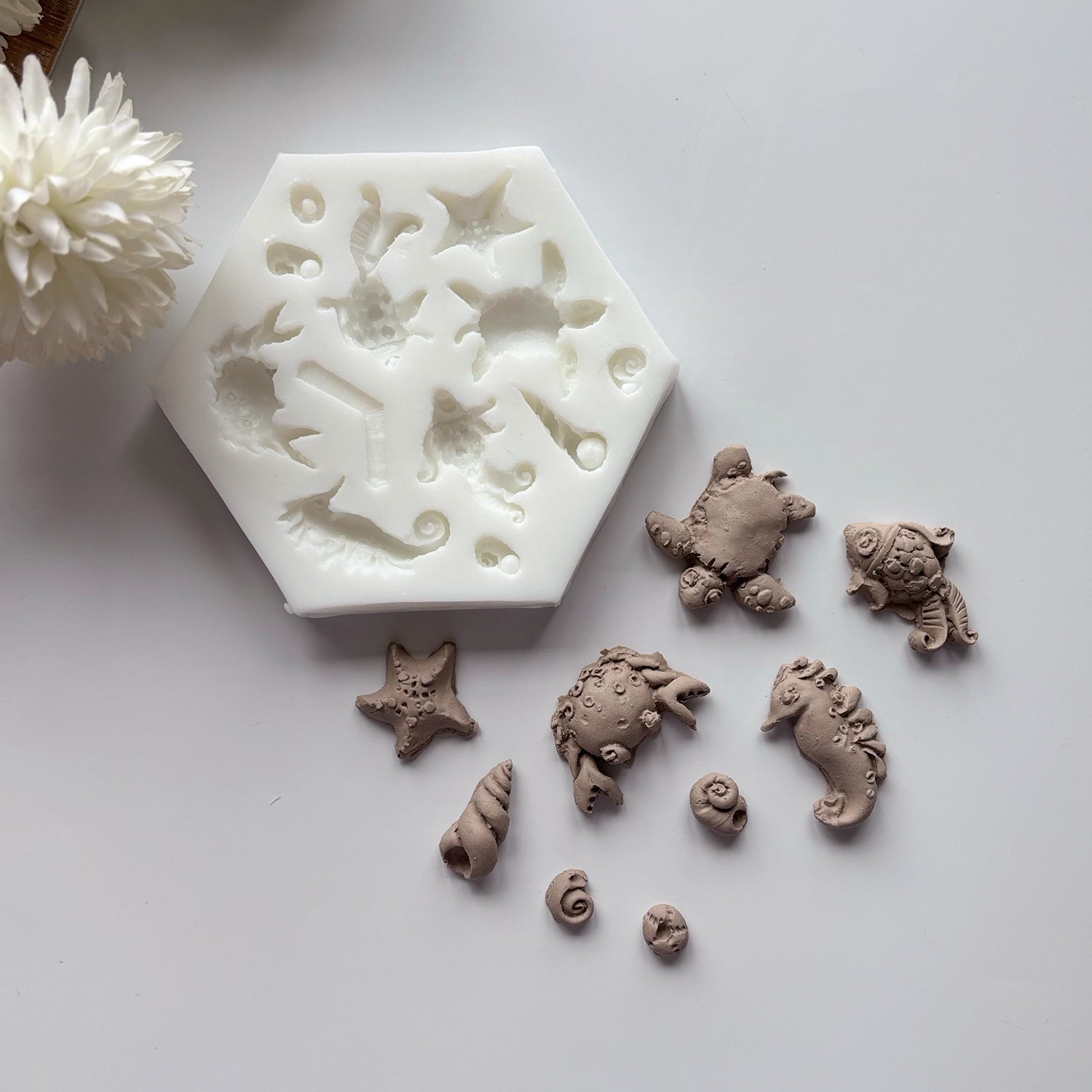 Multi-Sea Ocean Set Silicone Mold